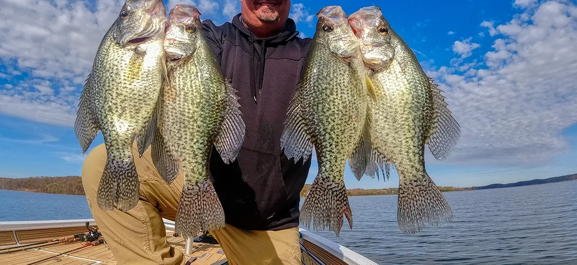 Crappie Fishing Tips and Tricks: Finding and Catching Slabs in Lakes and Rivers