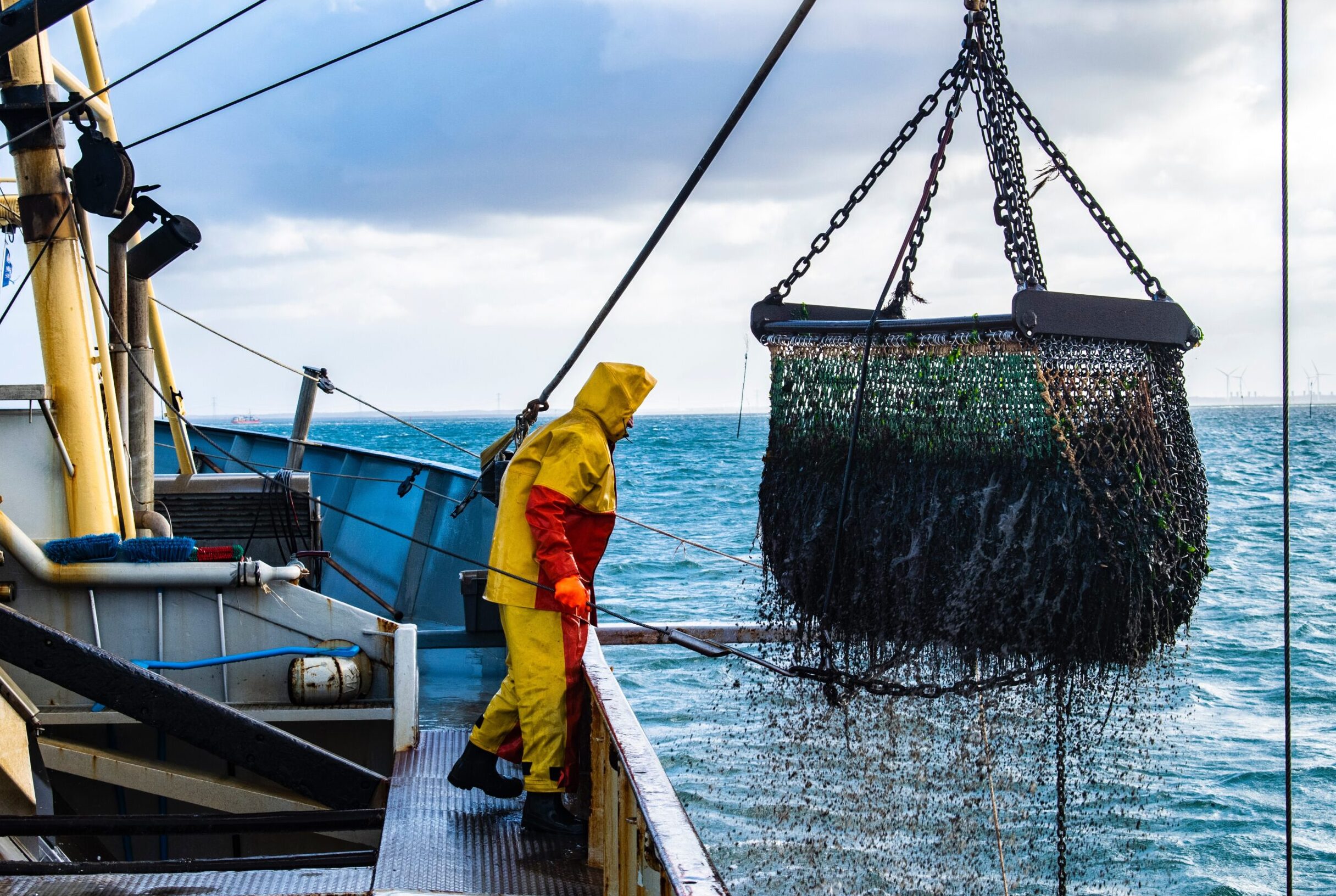 Discuss environmental challenges that impact fisheries and the importance of sustainable fishing practices to protect fish populations and their habitats