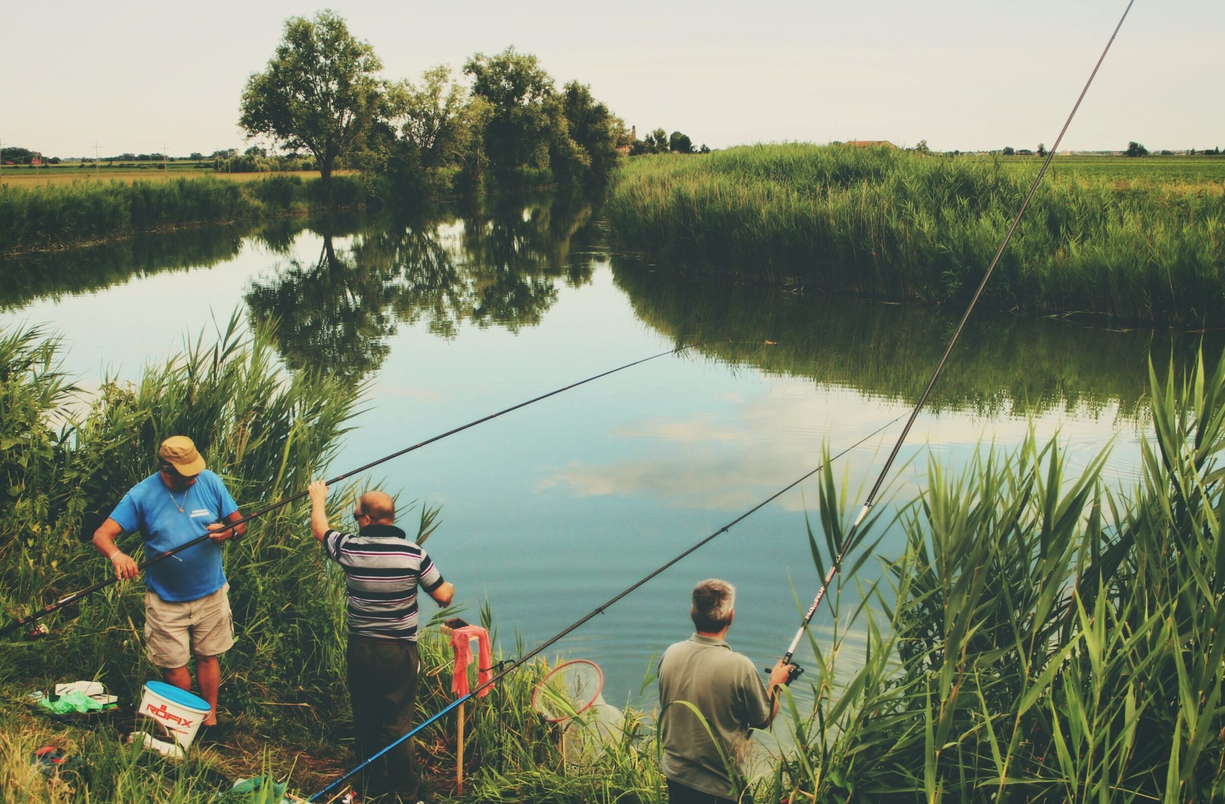 The Joy of Pond Fishing: Tips for Catching Bass, Bluegill, and Catfish